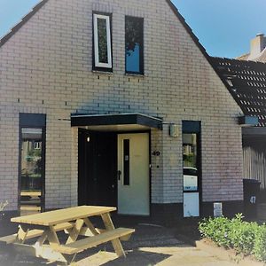 Haarlem 49